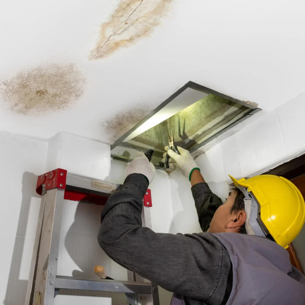 water damage restoration services in buda tx